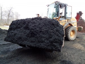 Midnight Black Mulch West Chester pic